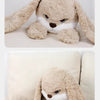 A light brown long-eared rabbit plush toy sitting on a white sofa.