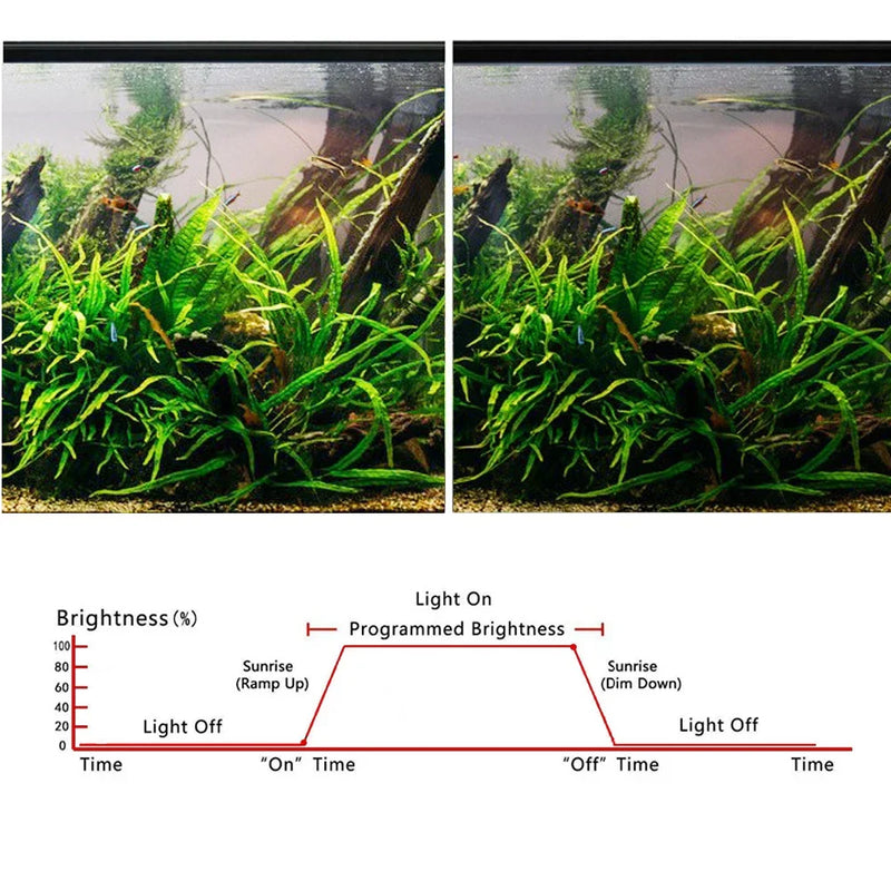 Aquarium LED Light Timer with Dimmer