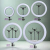 A set of adjustable ring lights with various diameters and tripods for streaming and video calls.