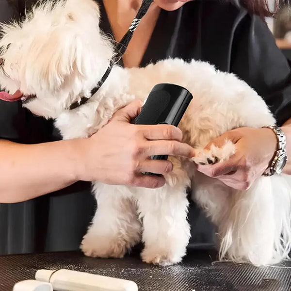 Self-Cleaning Pet Deshedding Brush