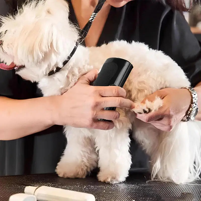 Self-Cleaning Pet Deshedding Brush
