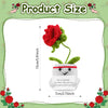 Handmade Crochet Pocket Hug Doll with Custom Message