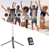 Selfie Stick Tripod with Ring Light and Wireless Remote