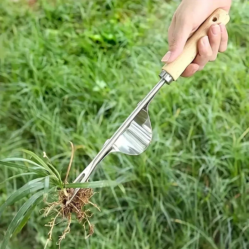 A hand holds a stainless steel garden weeder with a wooden handle, used to pull weeds from the soil.