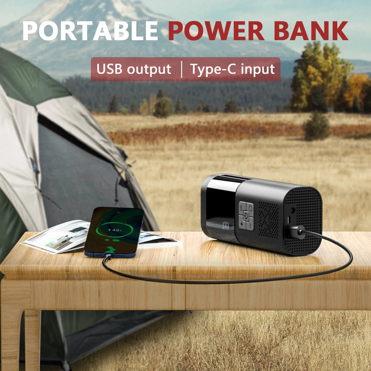 Portable Tire Inflator and Air Compressor