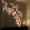 A branch of cherry blossom string lights illuminates a wall with delicate pink floral vines.