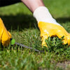 A hand wearing a white glove is using an ergonomic stainless steel weeder set with soft-grip handles in green grass.