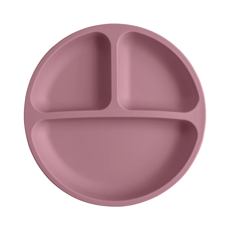 Silicone Suction Plate with Lid for Baby Led Weaning
