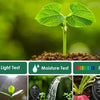 A close-up of a plant seedling growing in soil with three testing tools for light, moisture, and pH.