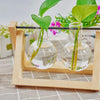 Tabletop Glass Planter Propagation Station with Wooden Rack