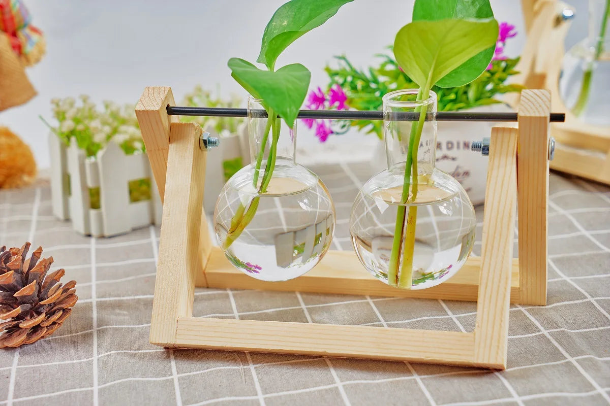 Tabletop Glass Planter Propagation Station with Wooden Rack