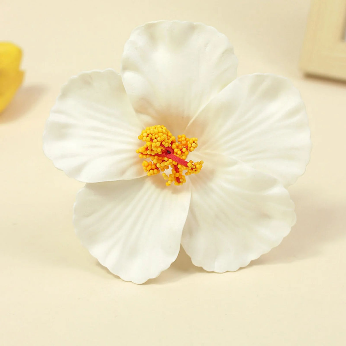 Fleur d'hibiscus tropical blanche avec étamines jaunes sur fond clair.