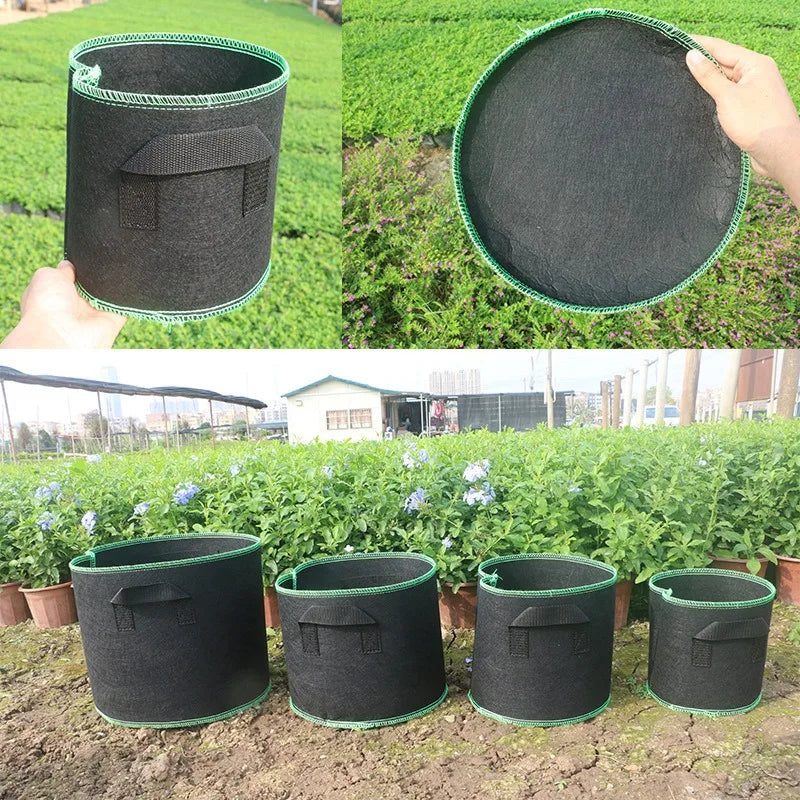 Several black non-woven fabric grow bags are shown in various sizes and angles, ready for planting.