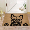 Alfombra de Bienvenida con Chihuahua Gracioso