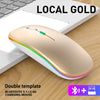 Souris sans fil ergonomique avec éclairage RGB