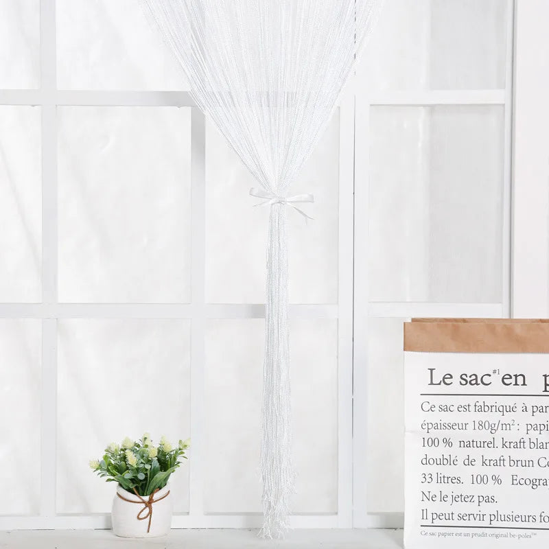White beaded thread curtain hanging in a window frame with a potted plant below