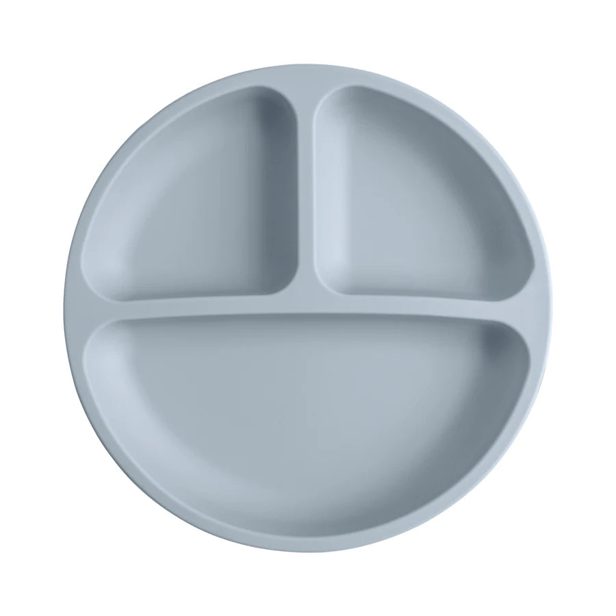 Silicone Suction Plate with Lid for Baby Led Weaning