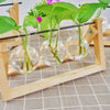 Tabletop Glass Planter Propagation Station with Wooden Rack