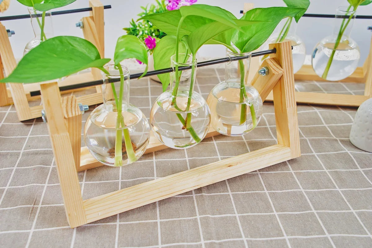 Tabletop Glass Planter Propagation Station with Wooden Rack