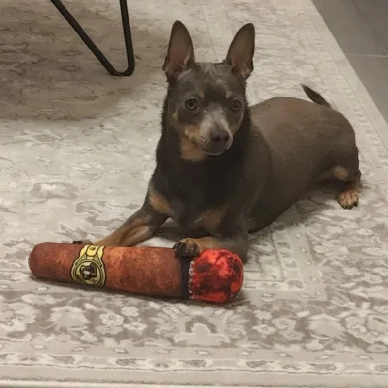 Squeaky Cigar-Shaped Plush Dog Toy