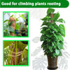 Stackable Natural Plant Support Poles