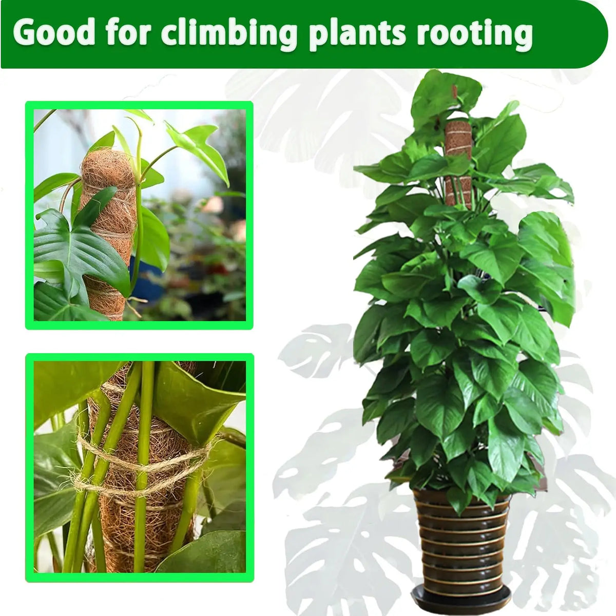 Stackable Natural Plant Support Poles