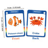 French Vocabulary Flashcards for Kids - Food, Animals, Fruits & Body Parts