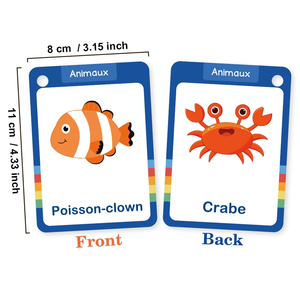 French Vocabulary Flashcards for Kids - Food, Animals, Fruits & Body Parts