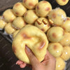 Eine Hand hält einen gelben, ovalen Kartoffel-Stressball-Fidget-Spielzeug, umgeben von vielen ähnlichen Spielzeugen.