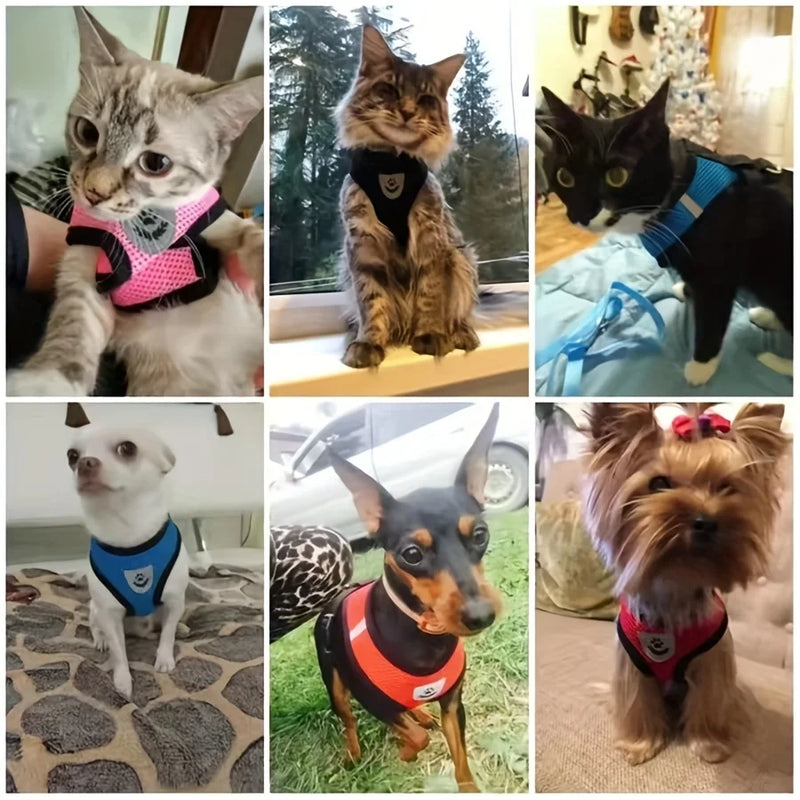 Escape-Proof Mesh Cat Harness with Reflective Vest