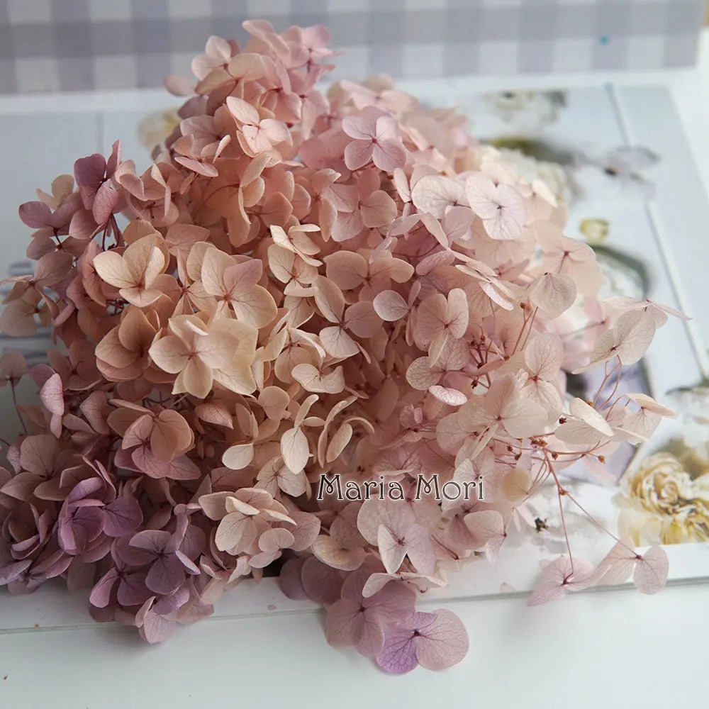 Preserved Hydrangea Flower Heads for Crafts and Home Decor