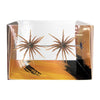 Soft Sea Urchin Fishing Lure