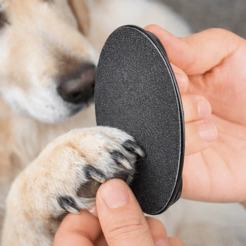 Portable Dog Nail File Board