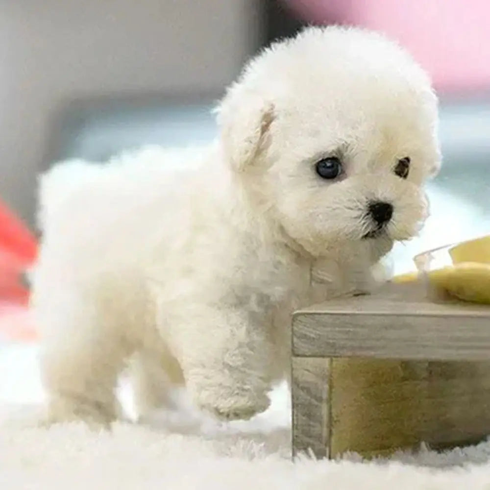 Interactive Robotic Puppy Plush Toy with Realistic Movements