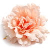 A soft peach colored peony flower head with delicate petals.