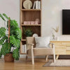 80cm Bendable Coco Coir Moss Pole for Climbing Plants