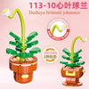 DIY Succulent Plant Building Block Bouquet