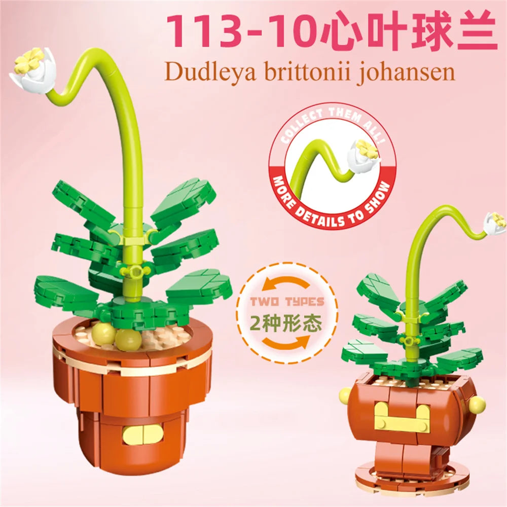 DIY Succulent Plant Building Block Bouquet