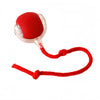 Automatic Interactive Pet Rolling Ball Toy