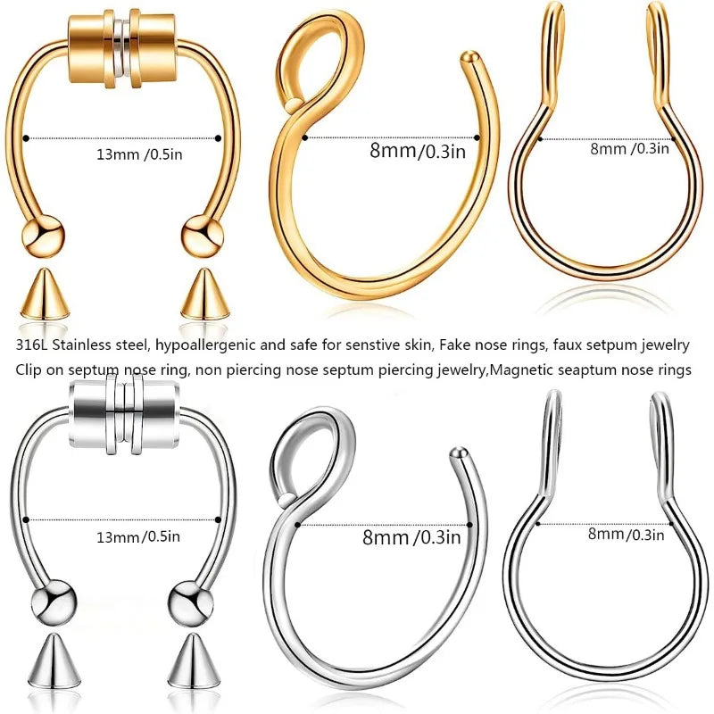 Magnetic Septum Ring Set