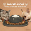 Interactive Slow Feeder Bowl with Suction Base