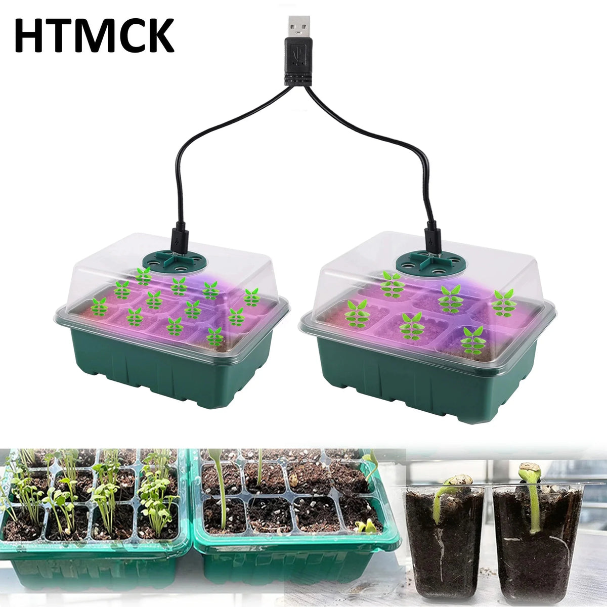 Seed Starter Tray with LED Grow Light and Humidity Dome