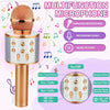 Portable Bluetooth Karaoke Microphone & Speaker