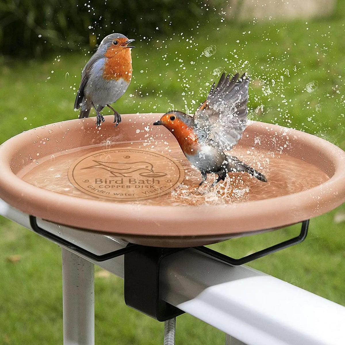 A small bird is splashing water on a copper disk bird bath cleaner with triple-point support.