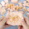 Dinosaur Fossil Excavation Kit for Kids