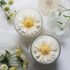 A white daisy flower is displayed in a glass, surrounded by small white flowers and greenery on a white fabric background.