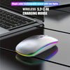 Souris sans fil ergonomique avec éclairage RGB
