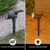 9-LED Solar-Powered Outdoor Spotlight