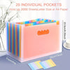 25-Layer A4 Rainbow Document Organizer