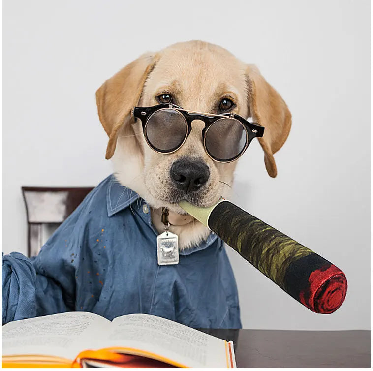 Squeaky Cigar-Shaped Plush Dog Toy